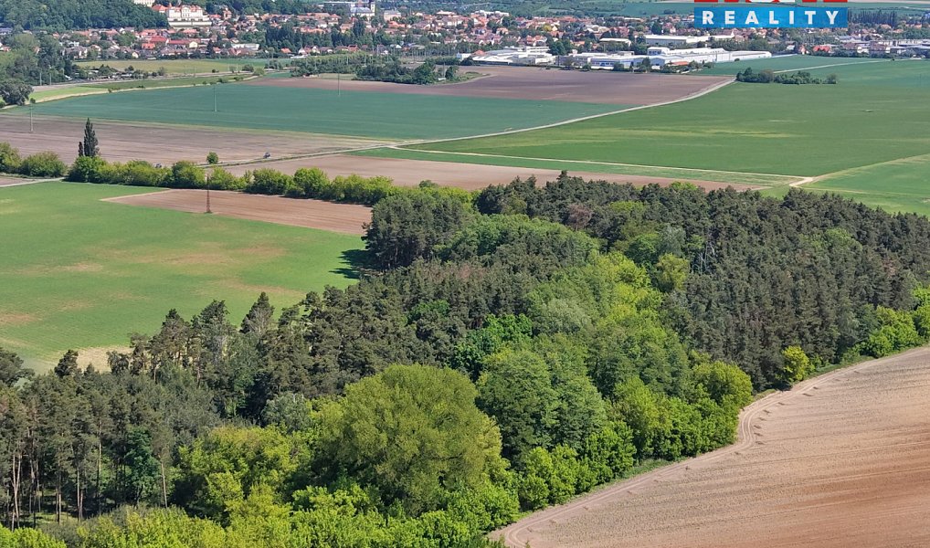 Prodej lesa 5 227 m², Lysá nad Labem – náhled fotky 4