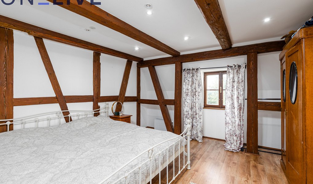 Prodej domu 650 m² s pozemkem 3 730 m², Rozvadov – náhled fotky 5