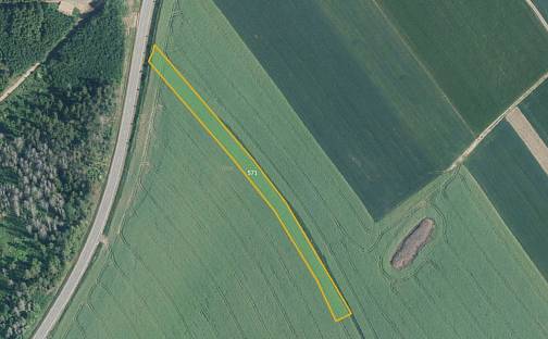 Prodej pole 11 333 m², Křoví, okres Žďár nad Sázavou