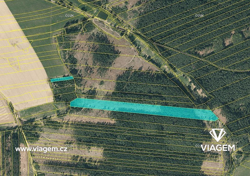 Prodej lesa 21 469 m² – fotografie 3