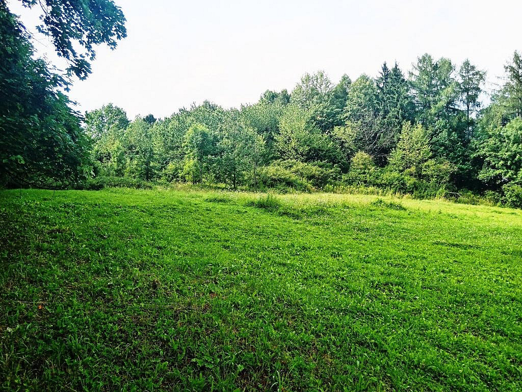 Prodej zahrady 3 200 m² – fotografie 5