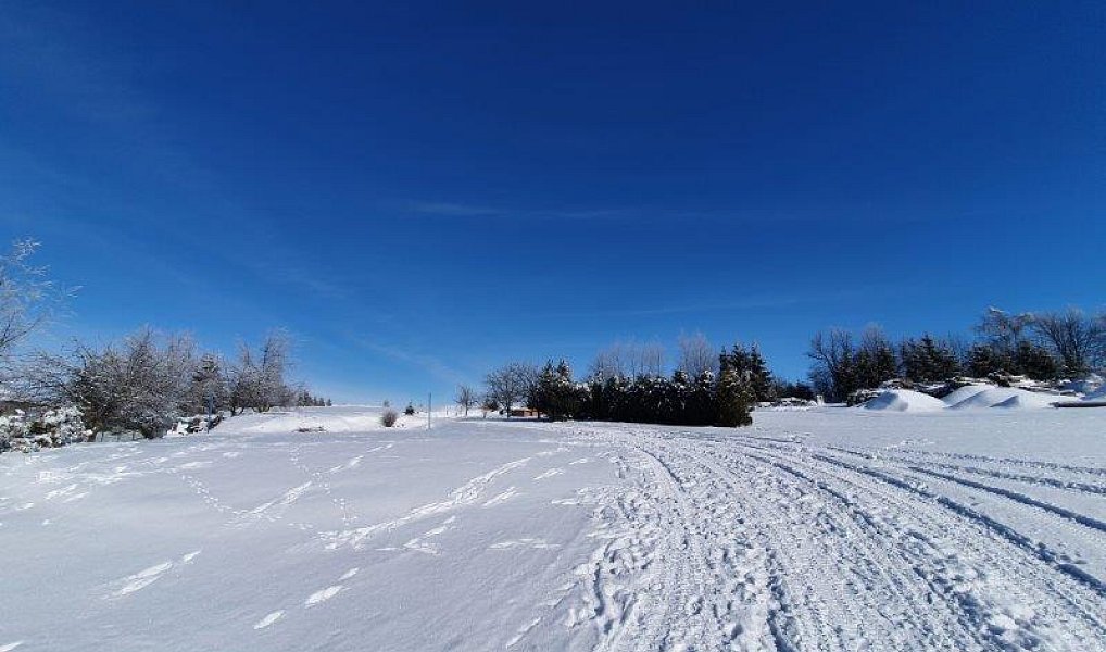 Prodej stavebního pozemku 1 100 m², Větrný Jeníkov – náhled fotky 7