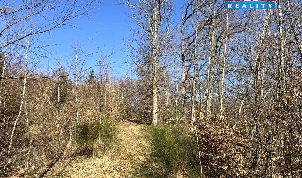 Prodej pozemku 443 m², Hrob – náhled fotky 3