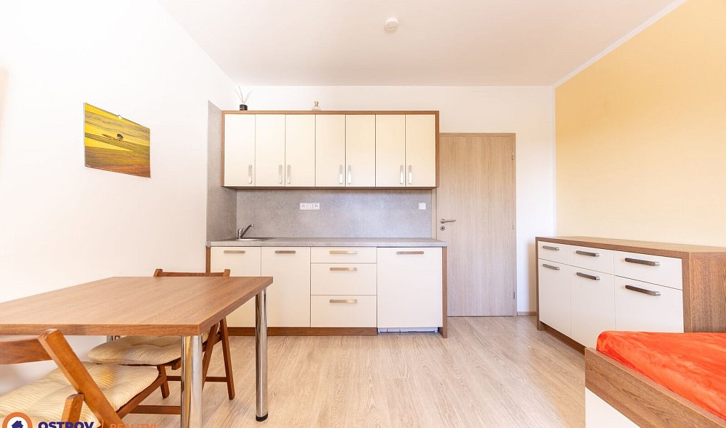 Pronájem bytu 1+kk 21 m², Loučná nad Desnou – náhled fotky 6