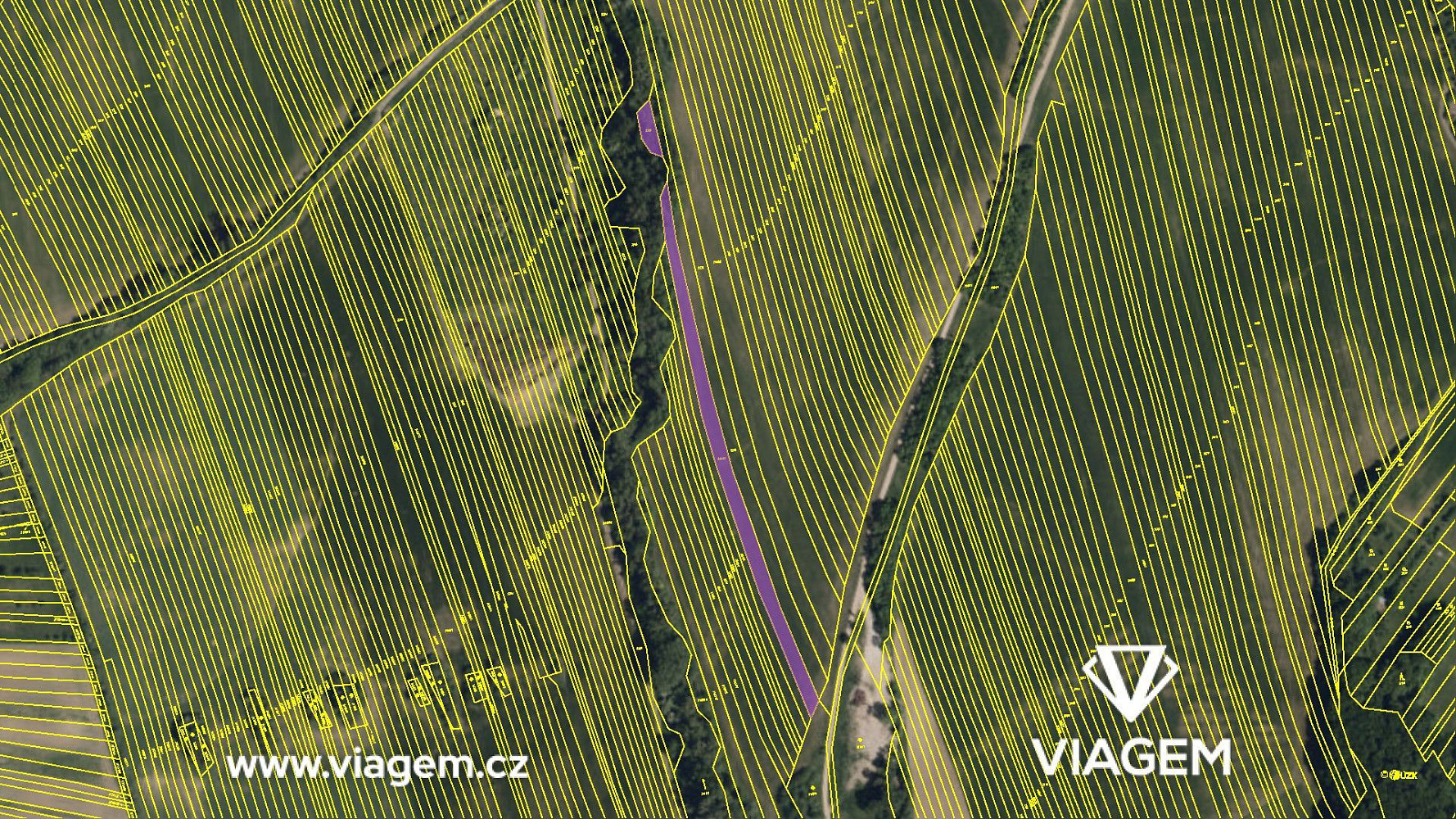 Prodej pole 1 613 m² – fotografie 4