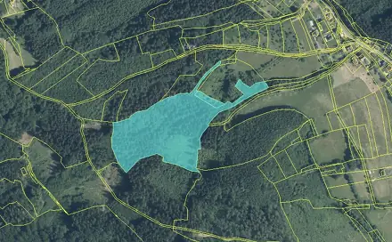 Prodej lesa 38 165 m², Rokytnice, Vsetín - Rokytnice