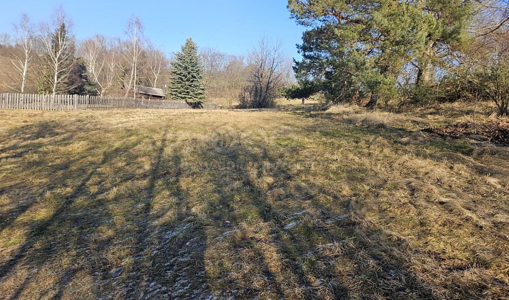 Prodej louky 524 m², Lipová – náhled fotky 4