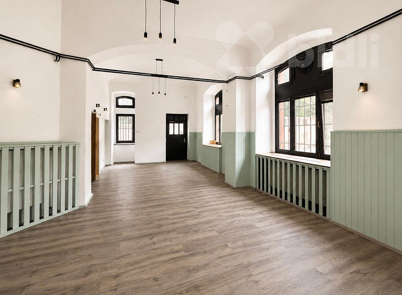 Pronájem obchodních prostor 151 m²