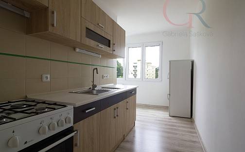 Pronájem bytu 2+1 54 m², Rokycanská, Plzeň - Lobzy