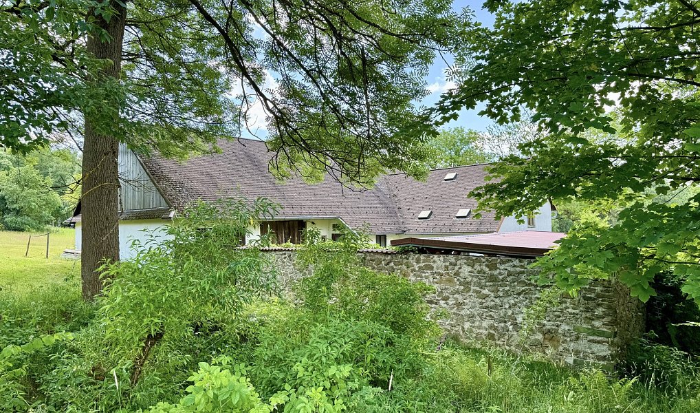Prodej chaty/chalupy 200 m² s pozemkem 11 151 m², Sněžné – náhled fotky 24