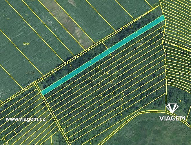 Prodej pole 2 592 m² – fotografie 2
