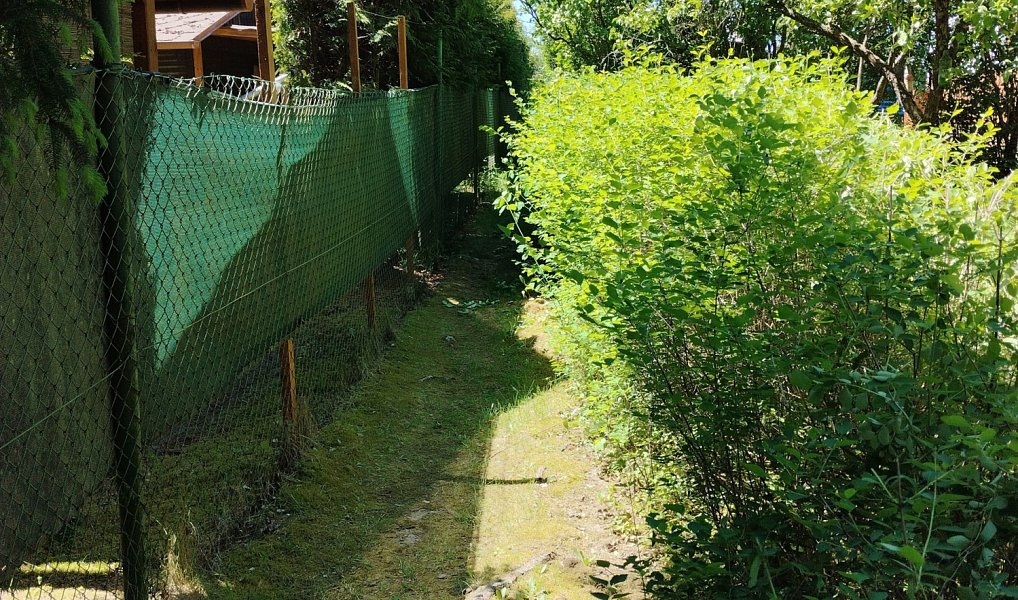 Prodej chaty/chalupy 39 m² s pozemkem 340 m², Stříbro – náhled fotky 13