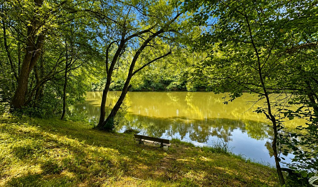 Prodej vodní plochy 25 771 m², Dačice – náhled fotky 8