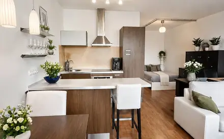 Prodej bytu 1+kk 45 m²