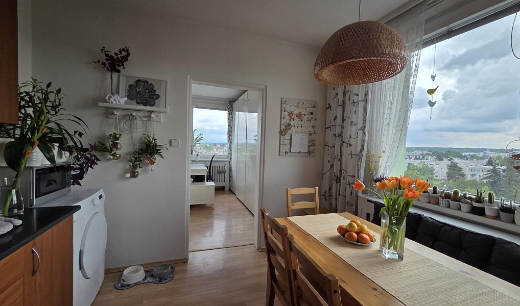 Prodej bytu 3+1 72 m², Hradec Králové – náhled fotky 2
