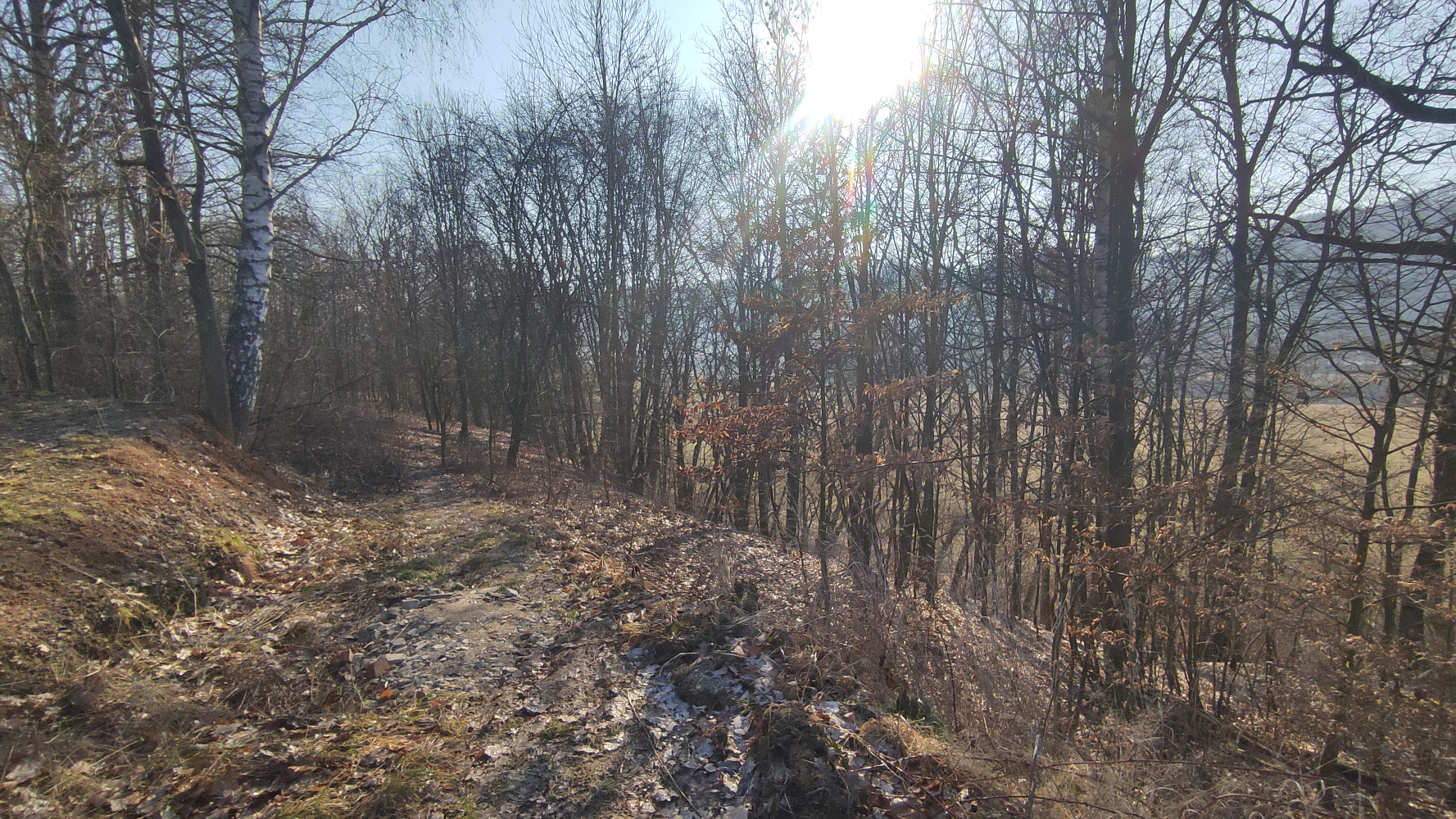 Fotka 9 z 12