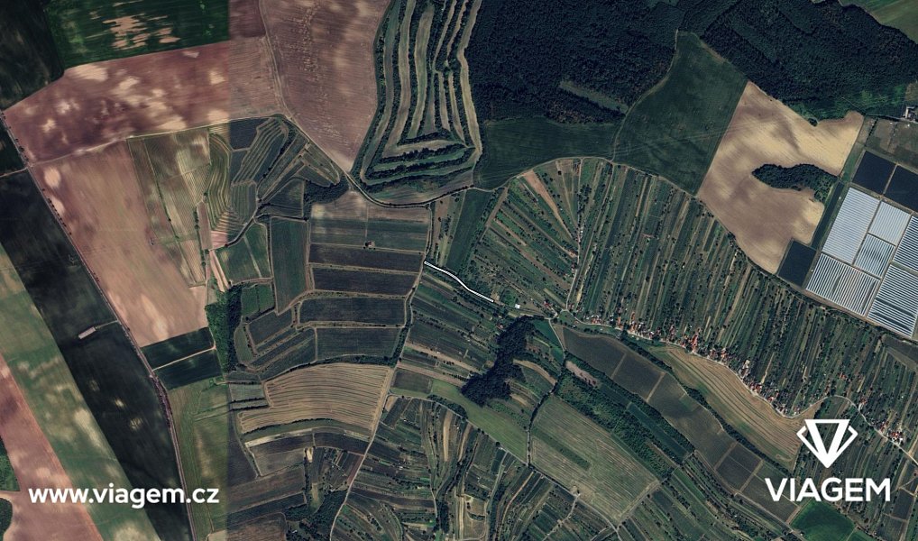 Prodej pole 352 m², Mutěnice – náhled fotky 3