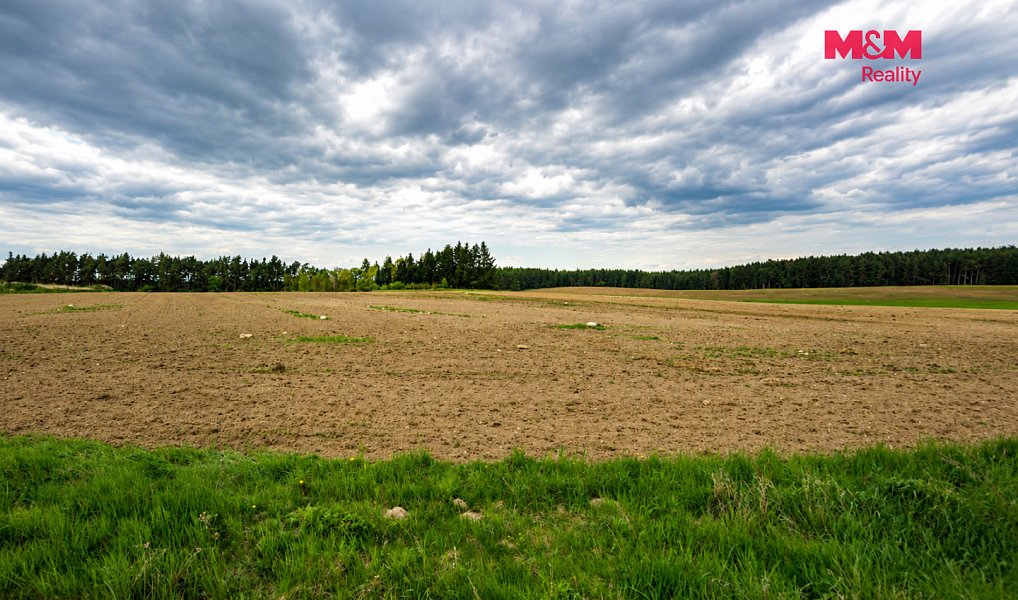 Prodej pole 349 177 m², Tisová – náhled fotky 2