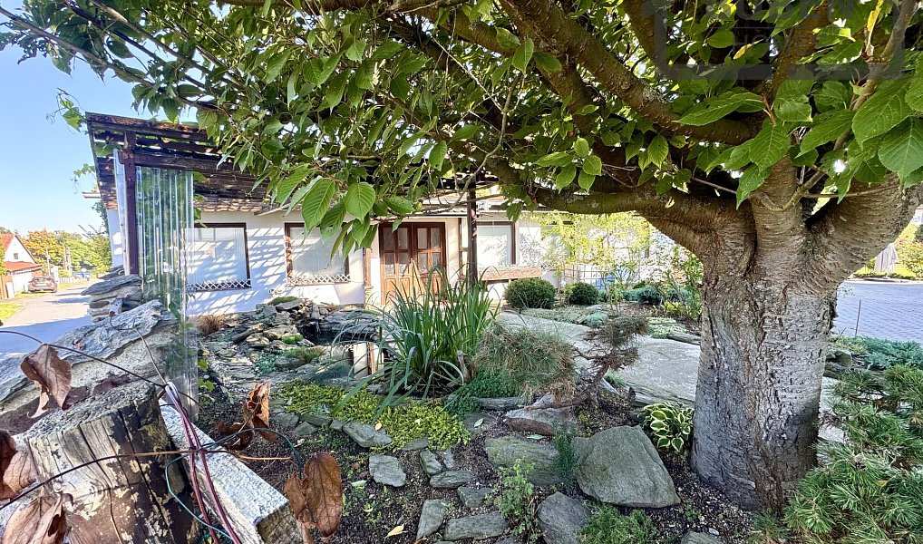 Prodej domu 414 m² s pozemkem 939 m², Bor – náhled fotky 55