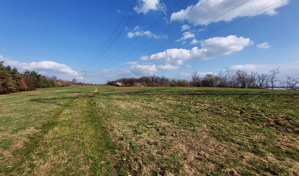 Pronájem pozemku 12 685 m², Praha – náhled fotky 2