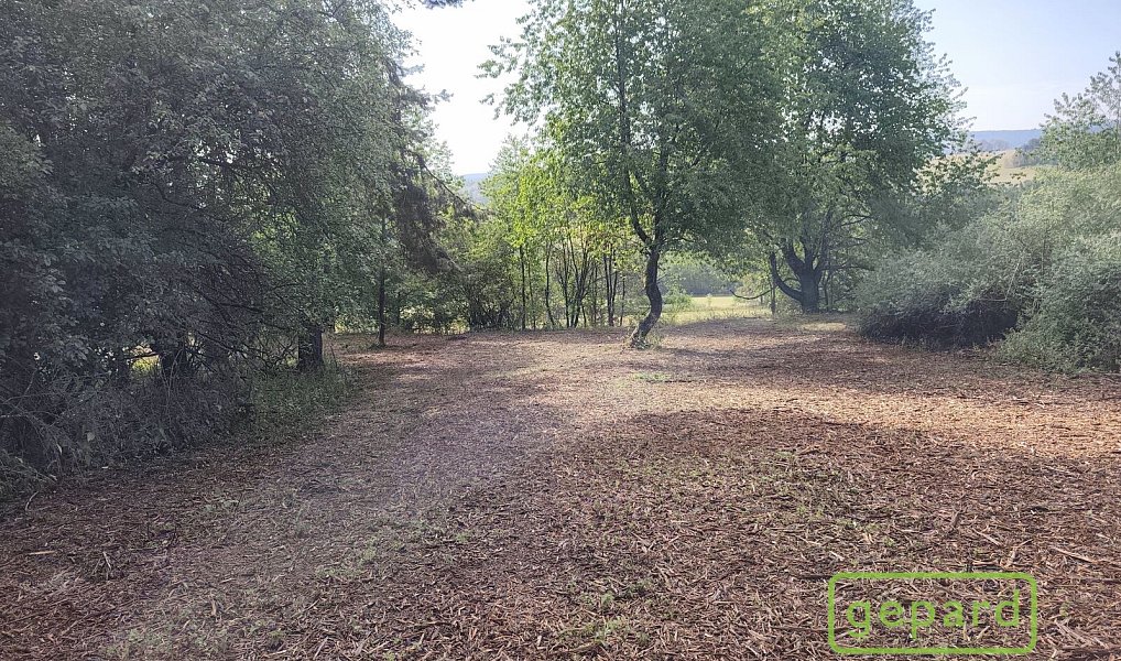 Prodej stavebního pozemku 14 307 m², Světlík – náhled fotky 5