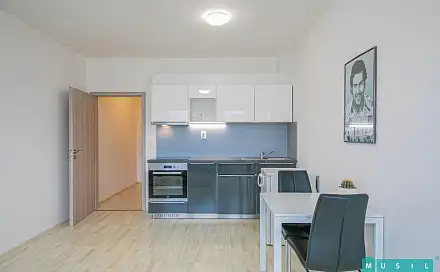 Pronájem bytu 1+kk 35 m², Aloise Rašína, Olomouc - Řepčín