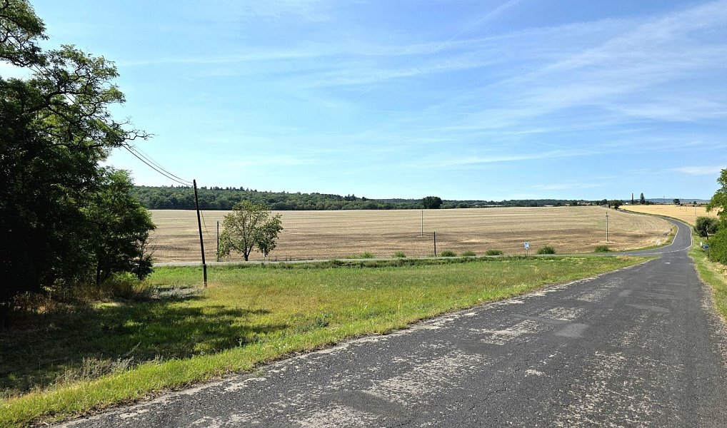 Prodej pole 3 590 m², Krásný Dvůr – náhled fotky 7