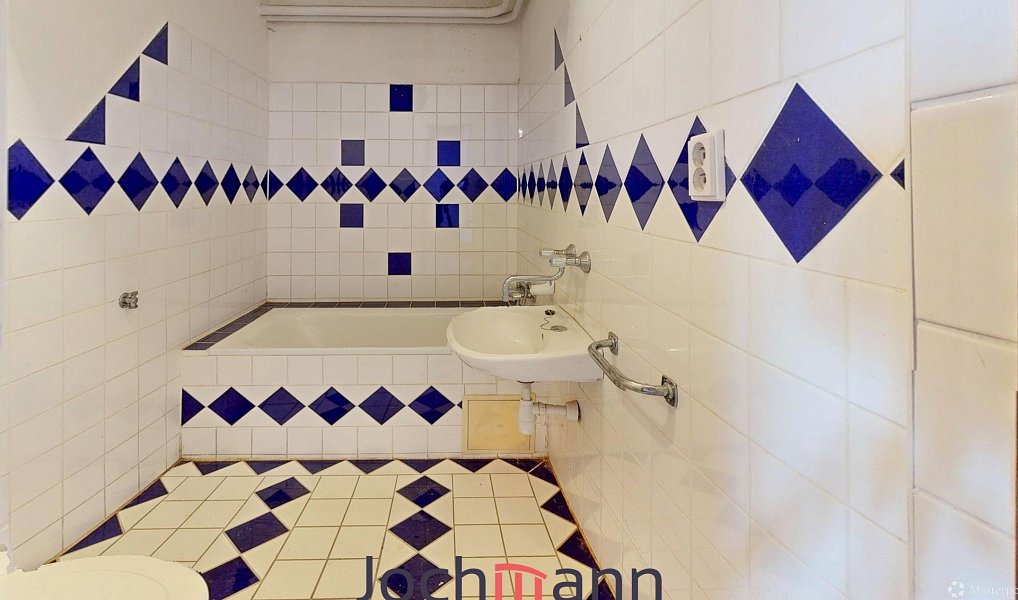 Prodej domu 310 m² s pozemkem 377 m², Benešov nad Černou – náhled fotky 6
