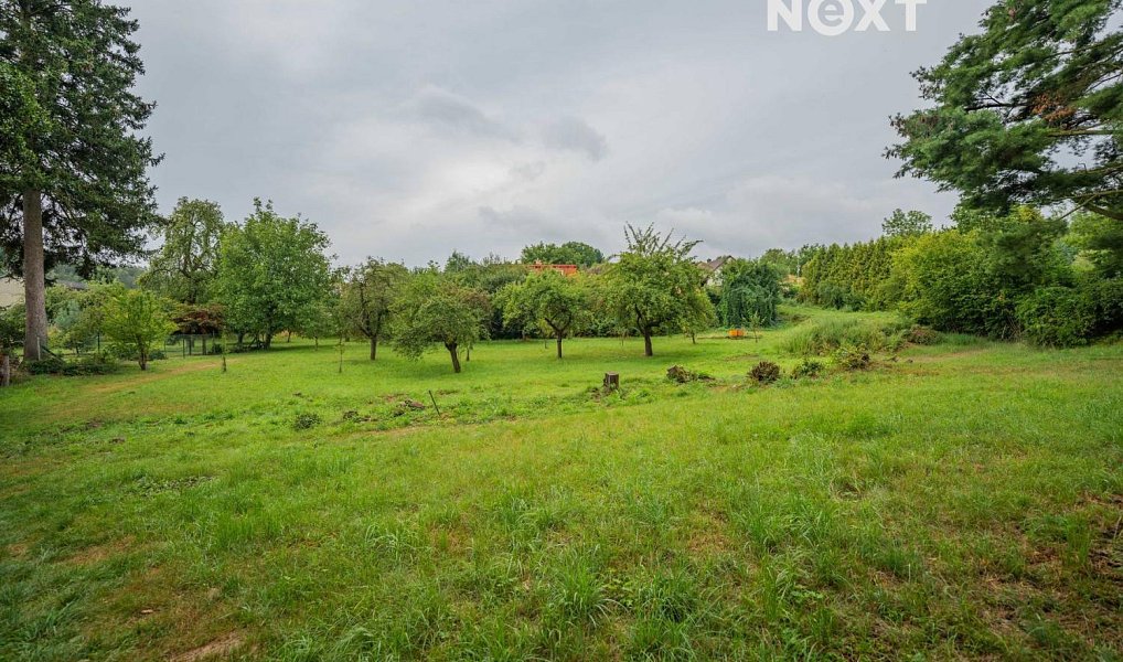 Prodej stavebního pozemku 3 456 m², Loštice – náhled fotky 18