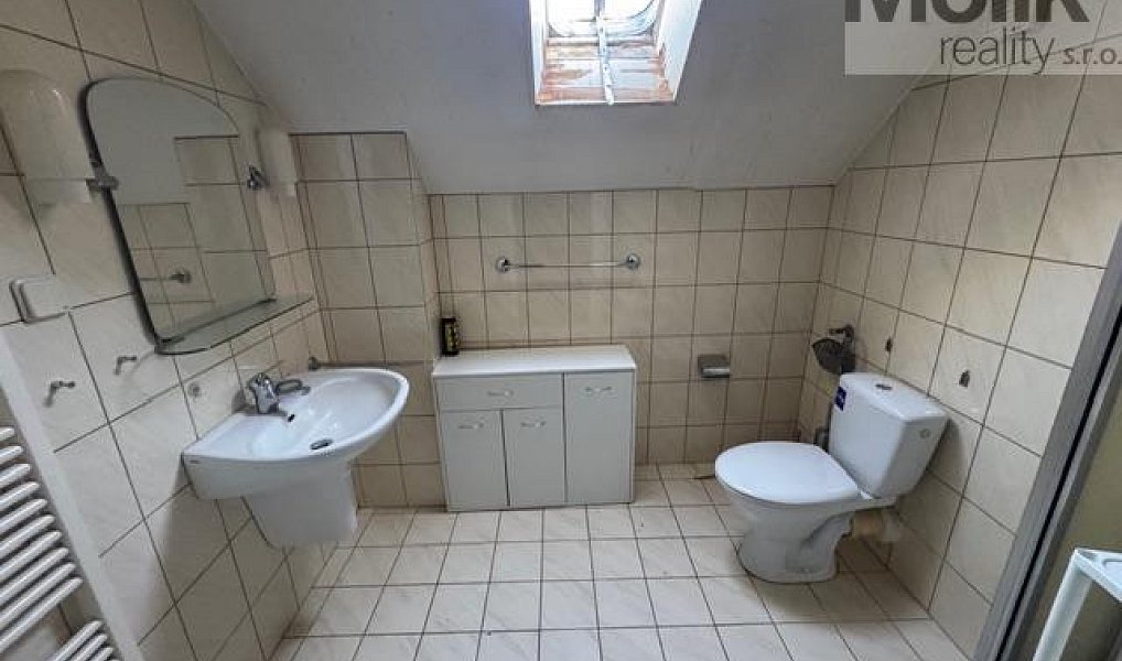 Prodej ubytovacího objektu 1 753 m², Český Jiřetín – náhled fotky 21