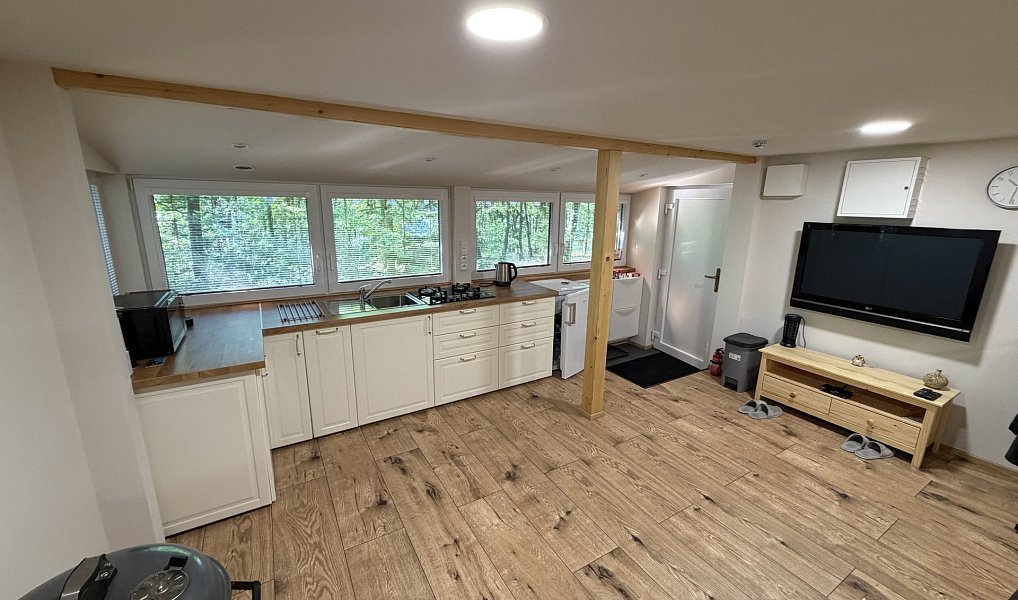 Prodej chaty/chalupy 33 m² s pozemkem 33 m², Brno – náhled fotky 39