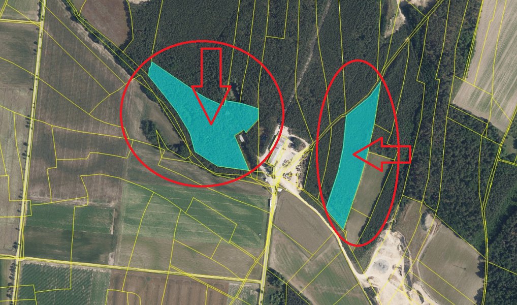 Prodej lesa 6 719 m², Sojovice – náhled fotky 2