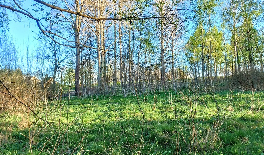 Prodej stavebního pozemku 2 966 m², Stará Voda – náhled fotky 7