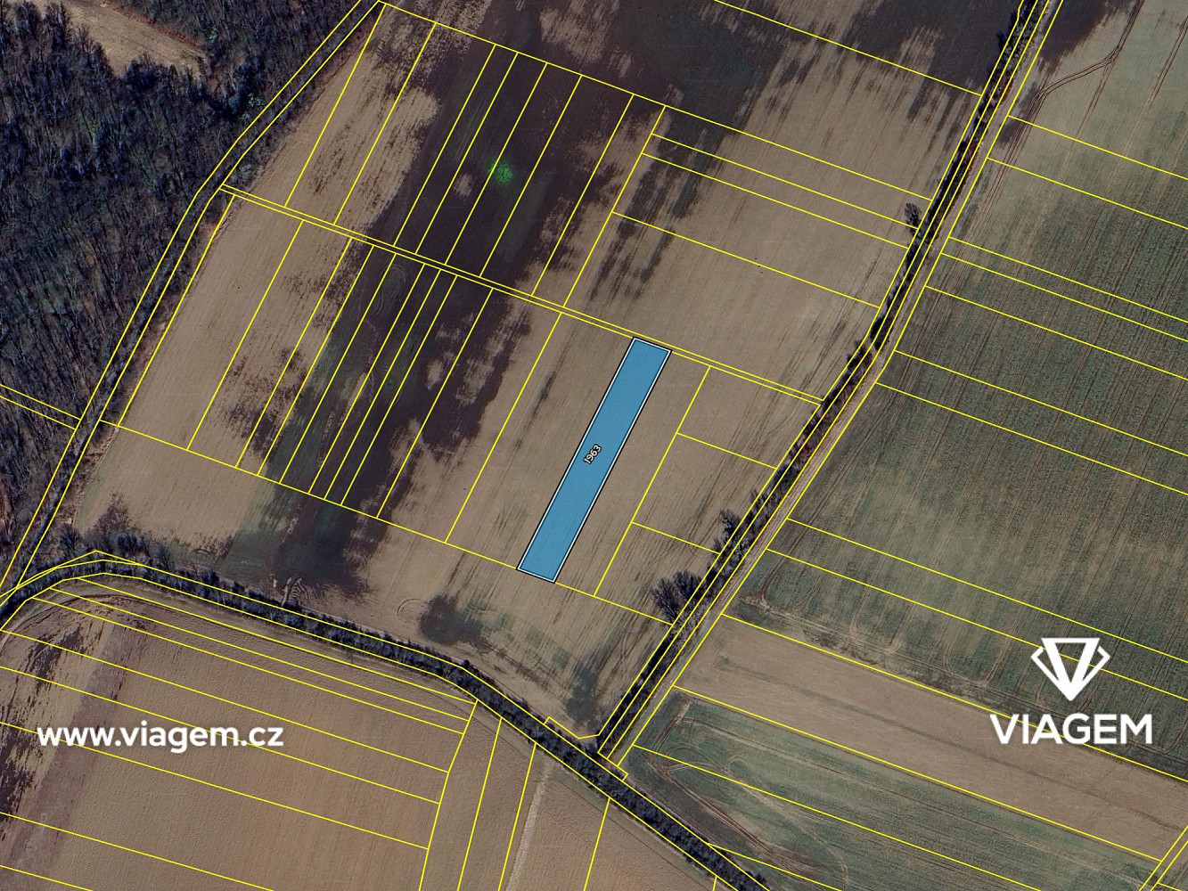 Prodej pole 1 691 m² – fotografie 4