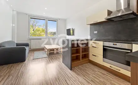 Pronájem bytu 2+kk 34 m², Javorová, Zlín