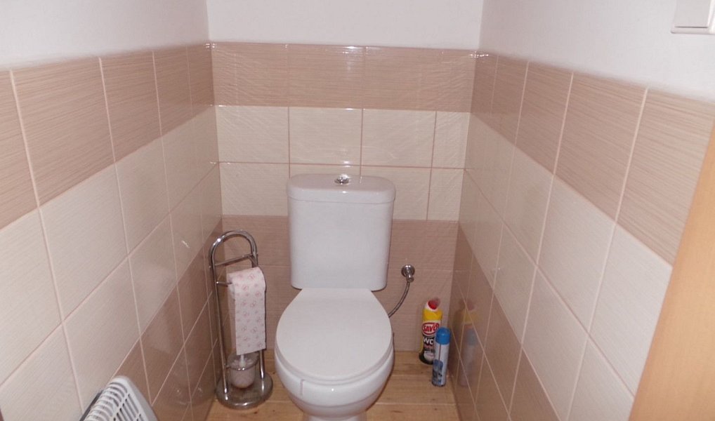 Prodej domu 478 m² s pozemkem 1 795 m², Žiželice – náhled fotky 16