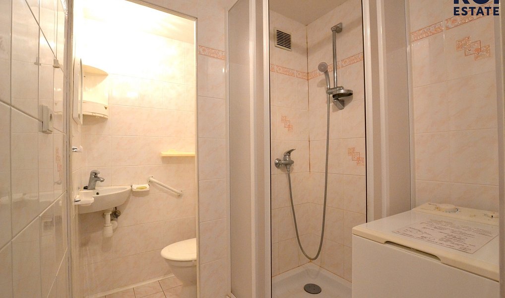 Pronájem bytu 1+kk 26 m², Brno – náhled fotky 2