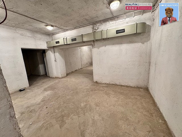 Pronájem obchodních prostor 222 m² - Widok 2