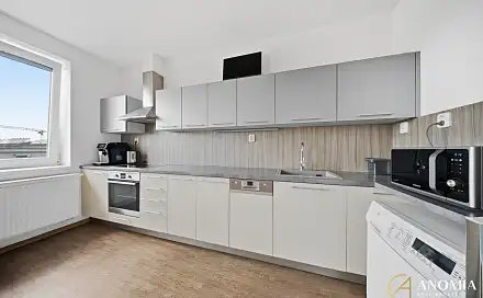 Pronájem bytu 2+kk 56 m², Ryšánkova, Brno - Černá Pole