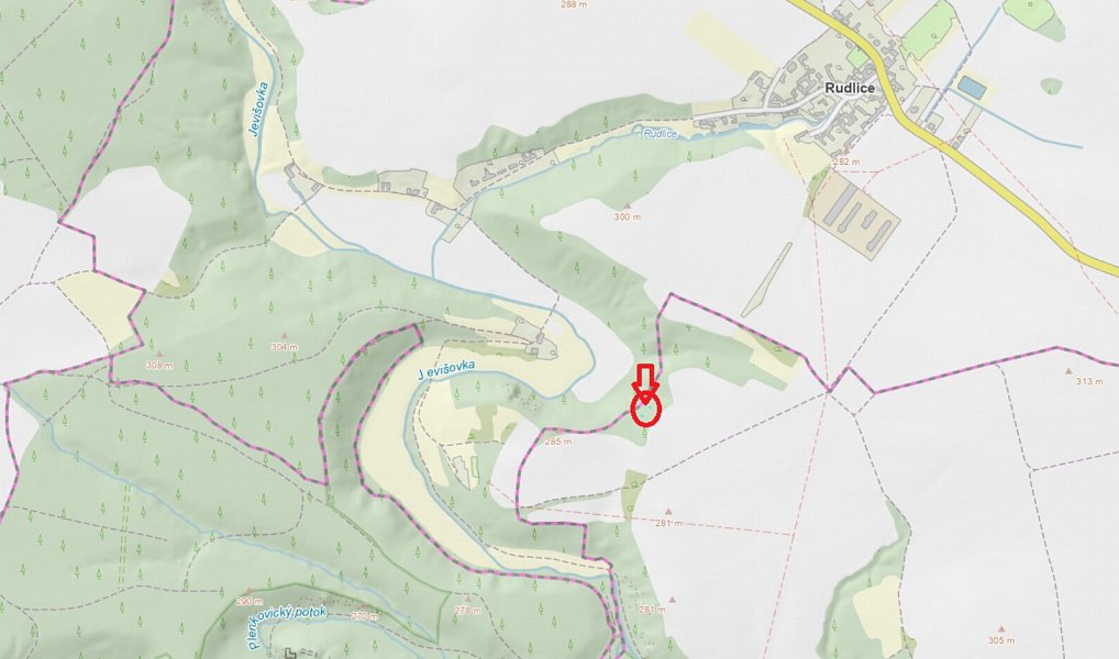Prodej lesa 1 640 m², Horní Bříza – náhled fotky 3