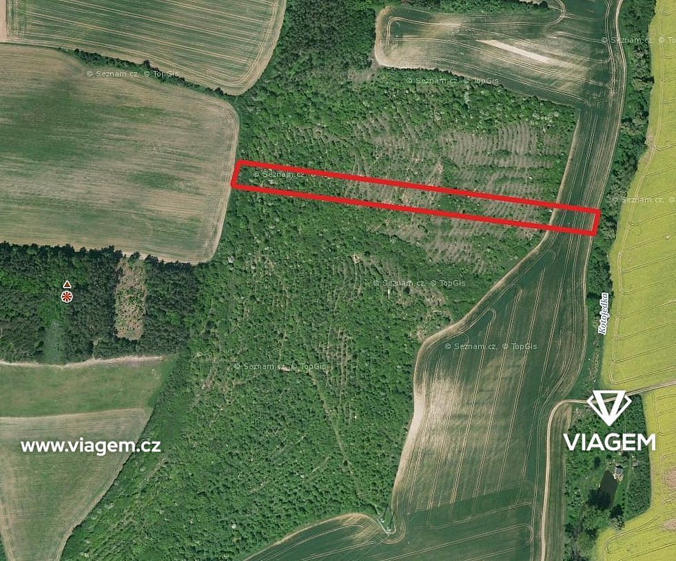 Pole 5 373 m², Podíl 47 % o výměře 2 537 m² – pohled 3