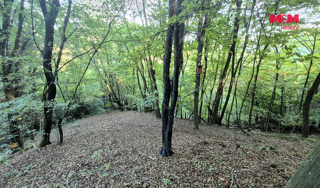 Prodej chaty/chalupy 33 m² s pozemkem 33 m², Zbečno – náhled fotky 25