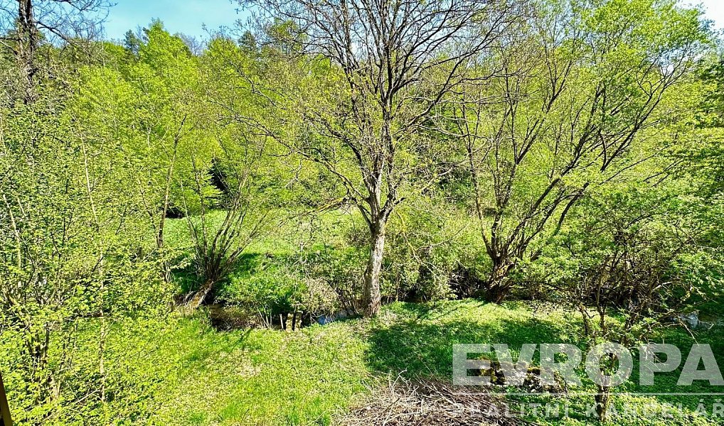 Prodej domu 350 m² s pozemkem 5 913 m², Dubá – náhled fotky 11