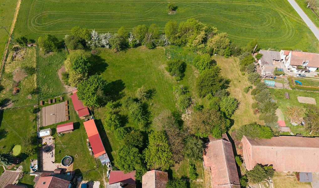 Prodej stavebního pozemku 5 013 m², Praskačka – náhled fotky 6