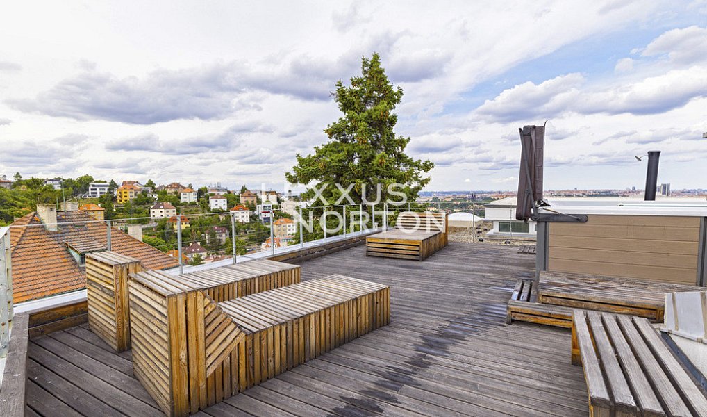 Pronájem bytu 5+kk 202 m², Praha – náhled fotky 4
