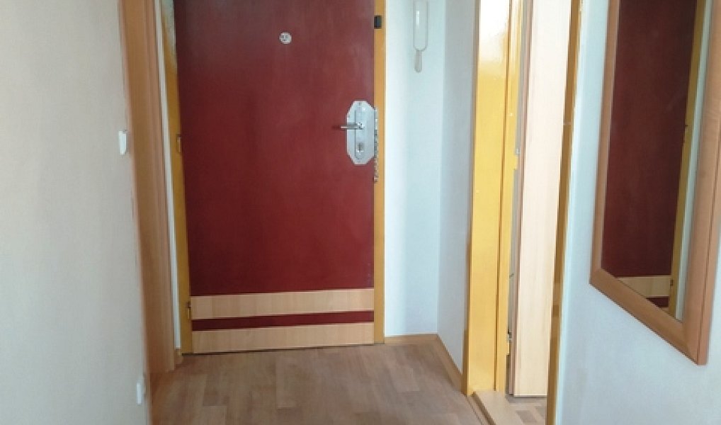 Pronájem bytu 1+1 36 m², Olomouc – náhled fotky 5