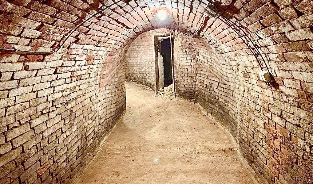 Nový Šaldorf - Sedlešovice, lisovna, 145 m2, pozemek 978 m2 vinný sklep, Nový Šaldorf-Sedlešovice – náhled fotky 8