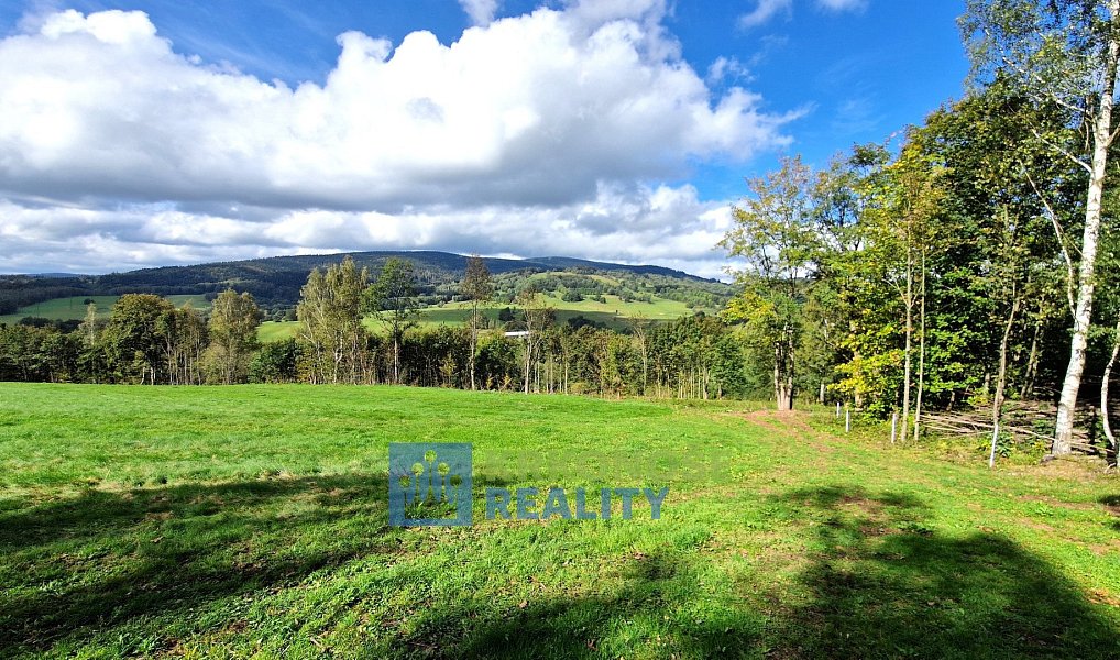 Prodej domu 320 m² s pozemkem 2 462 m², Trutnov – náhled fotky 3