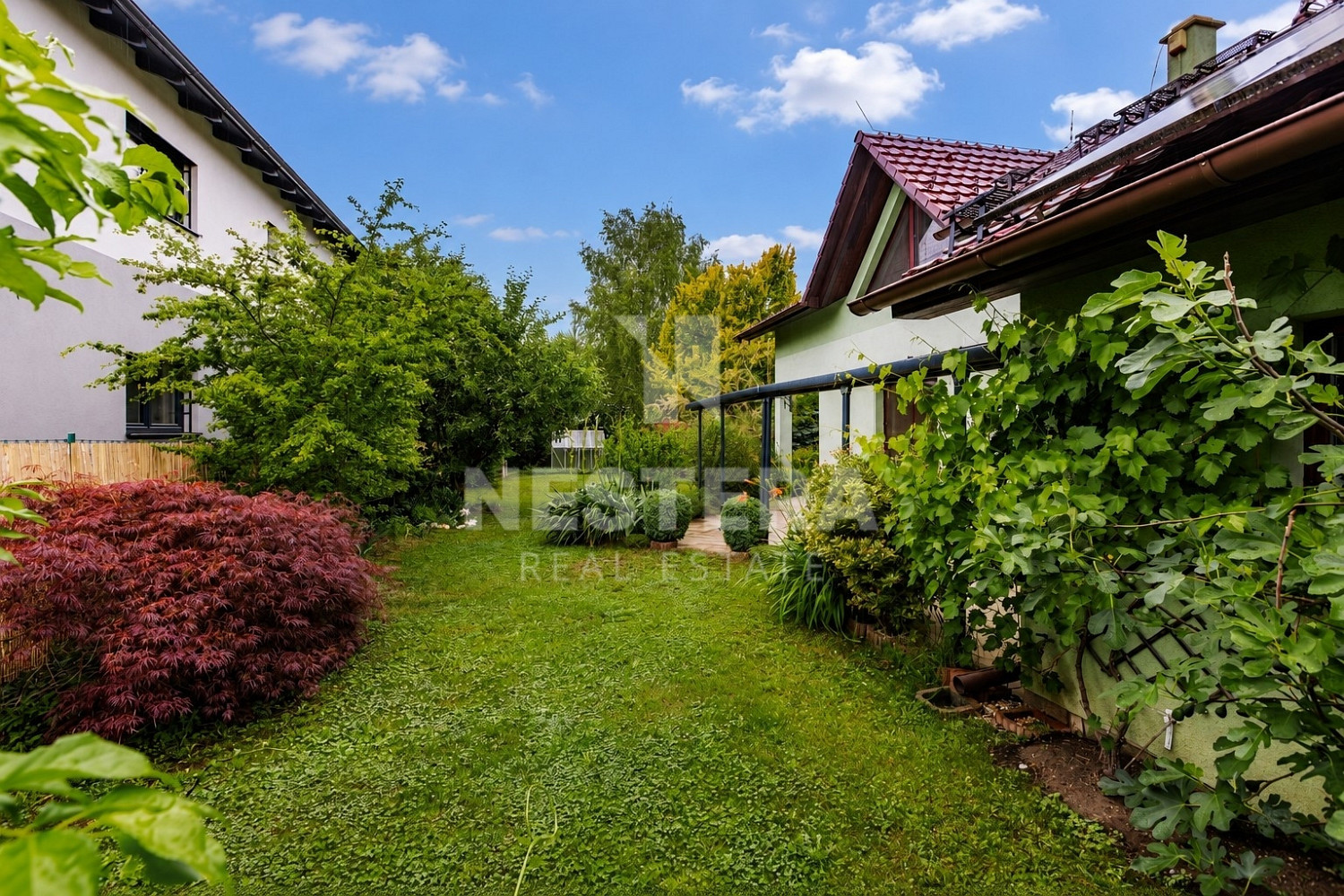 Prodej domu 197 m² s pozemkem 840 m² – fotografie 5