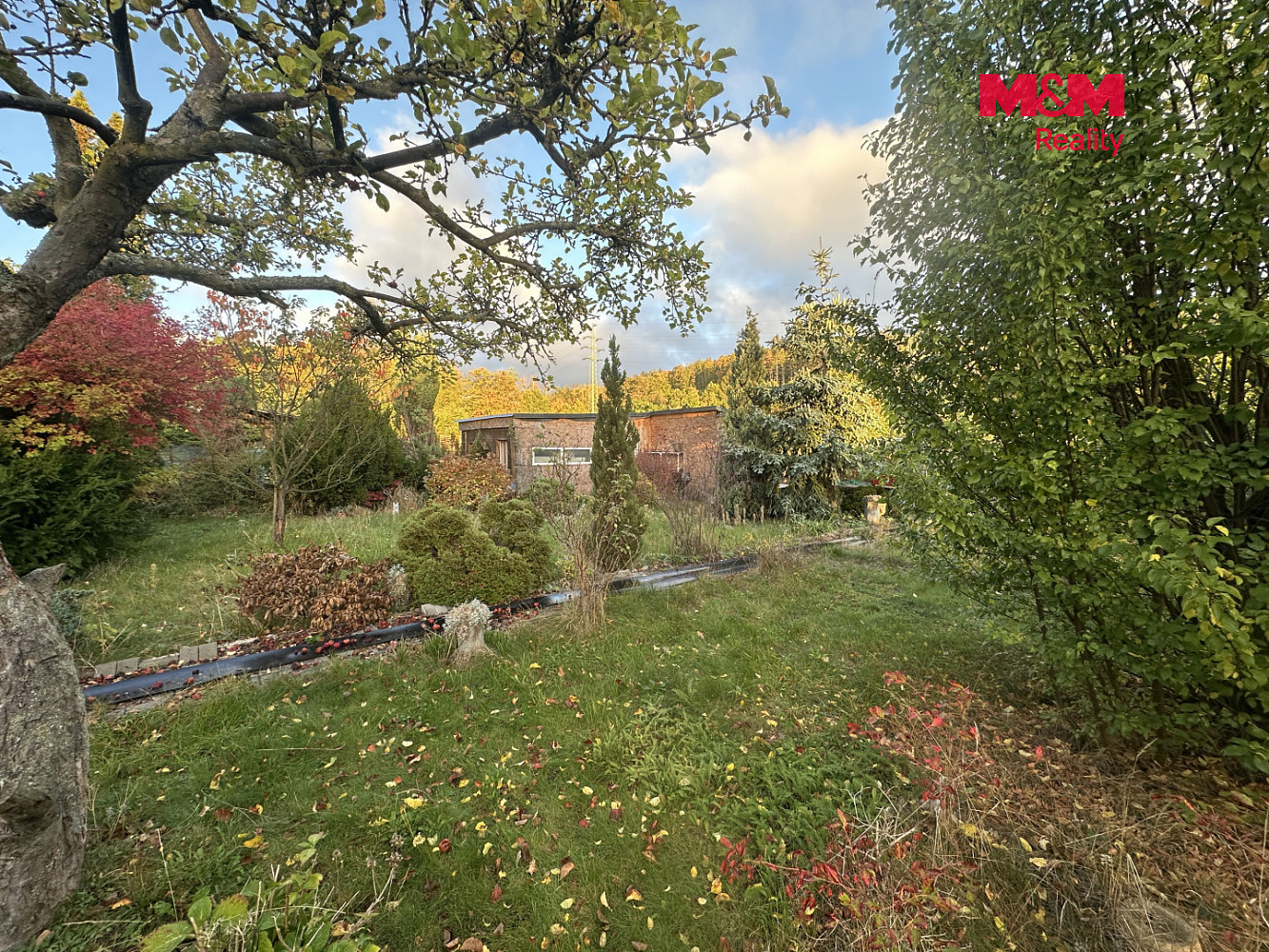 Fotka 5 z 12
